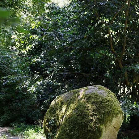 Cit'hotel Le Relais Boisniard מלון 3*