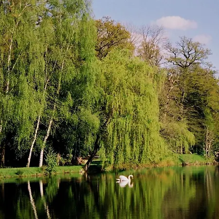 Cit'hotel Le Relais Boisniard 3* Chambretaud