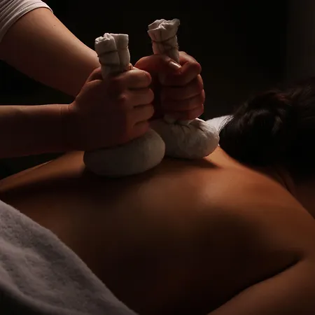 Cit'hotel Le Relais Boisniard מלון 3*